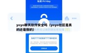 yoyo聊天软件安全吗（yoyo社区是真的还是假的）