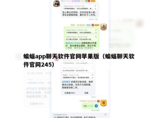 蝙蝠app聊天软件官网苹果版（蝙蝠聊天软件官网245）