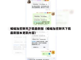 蝙蝠加密聊天下载最新版（蝙蝠加密聊天下载最新版本更新内容）