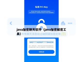 java加密聊天软件（java加密解密工具）