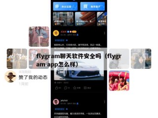 flygram聊天软件安全吗（flygram app怎么样）