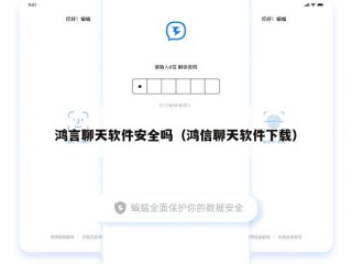 鸿言聊天软件安全吗（鸿信聊天软件下载）