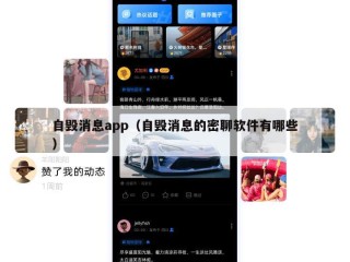 自毁消息app（自毁消息的密聊软件有哪些）