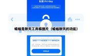 蝙蝠是聊天工具嘛图片（蝙蝠聊天的功能）