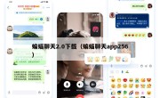 蝙蝠聊天2.0下载（蝙蝠聊天app256）