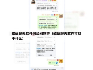 蝙蝠聊天软件同级别软件（蝙蝠聊天软件可以干什么）