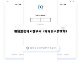 蝙蝠加密聊天群瞬间（蝙蝠聊天群求带）