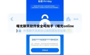 曙光聊天软件安全吗知乎（曙光online）