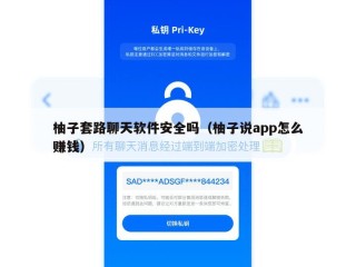 柚子套路聊天软件安全吗（柚子说app怎么赚钱）