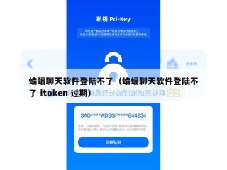 蝙蝠聊天软件登陆不了（蝙蝠聊天软件登陆不了 itoken 过期）