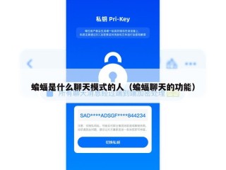 蝙蝠是什么聊天模式的人（蝙蝠聊天的功能）