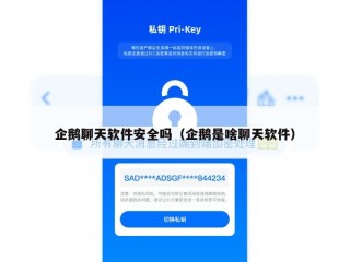 企鹅聊天软件安全吗（企鹅是啥聊天软件）