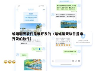 蝙蝠聊天软件是谁开发的（蝙蝠聊天软件是谁开发的软件）
