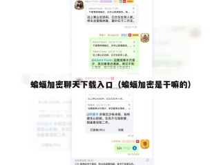 蝙蝠加密聊天下载入口（蝙蝠加密是干嘛的）