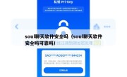 soul聊天软件安全吗（soul聊天软件安全吗可靠吗）