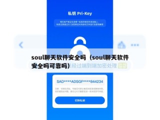 soul聊天软件安全吗（soul聊天软件安全吗可靠吗）