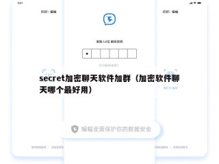 secret加密聊天软件加群（加密软件聊天哪个最好用）