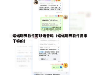 蝙蝠聊天软件可以语音吗（蝙蝠聊天软件用来干嘛的）