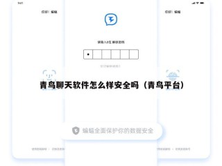 青鸟聊天软件怎么样安全吗（青鸟平台）