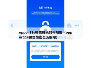 oppor11s微信聊天如何加密（oppor11s微信加密怎么解除）