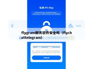 flygram聊天软件安全吗（flychattelegram）