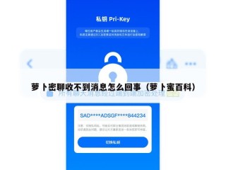萝卜密聊收不到消息怎么回事（萝卜蜜百科）