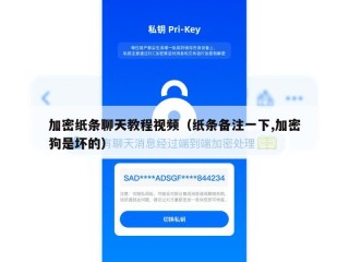 加密纸条聊天教程视频（纸条备注一下,加密狗是坏的）
