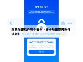 聊天加密软件哪个安全（安全加密聊天软件 排名）