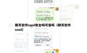聊天软件soul安全吗可靠吗（聊天软件 soul）