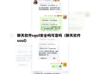 聊天软件soul安全吗可靠吗（聊天软件 soul）