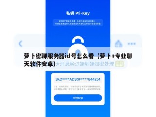 萝卜密聊服务器id号怎么看（萝卜+专业聊天软件安卓）
