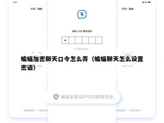 蝙蝠加密聊天口令怎么弄（蝙蝠聊天怎么设置密语）