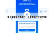 萝卜密聊如何发图片（卜萝密的种子能种吗）