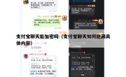 支付宝聊天能加密吗（支付宝聊天如何隐藏具体内容）