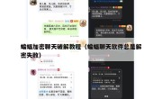 蝙蝠加密聊天破解教程（蝙蝠聊天软件总是解密失败）