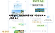 蝙蝠app上的的聊天看不懂（蝙蝠聊天app干嘛用的）