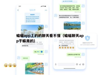 蝙蝠app上的的聊天看不懂（蝙蝠聊天app干嘛用的）