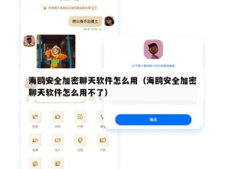 海鸥安全加密聊天软件怎么用（海鸥安全加密聊天软件怎么用不了）