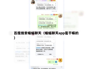 百度搜索蝙蝠聊天（蝙蝠聊天app是干嘛的）