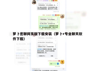 萝卜密聊网页版下载安装（萝卜+专业聊天软件下载）