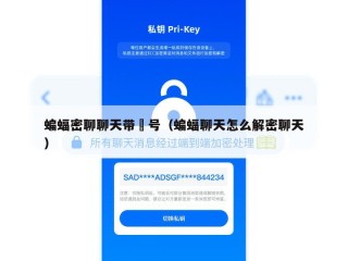蝙蝠密聊聊天带対号（蝙蝠聊天怎么解密聊天）