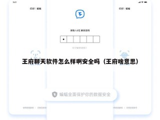 王府聊天软件怎么样啊安全吗（王府啥意思）