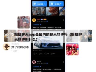 蝙蝠聊天app是国内的聊天软件吗（蝙蝠聊天软件叫什么）
