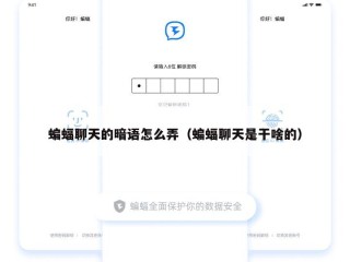 蝙蝠聊天的暗语怎么弄（蝙蝠聊天是干啥的）
