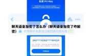 聊天语音加密了怎么办（聊天语音加密了咋解密）