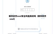 聊天软件soul安全吗是真的吗（聊天软件 soul）