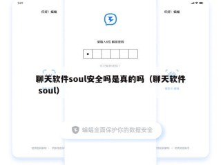 聊天软件soul安全吗是真的吗（聊天软件 soul）