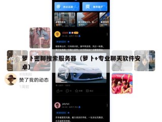 萝卜密聊搜索服务器（萝卜+专业聊天软件安卓）
