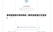 聊天加密指令如何用的（聊天加密是什么意思）
