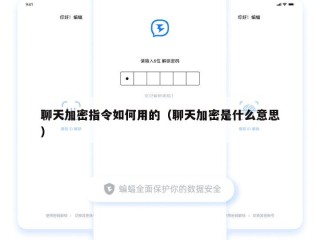 聊天加密指令如何用的（聊天加密是什么意思）